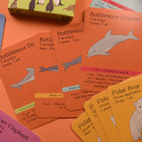 Button & Squirt - Amazing Animal Families Card Game