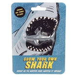 Rex B2B - UK - Grow Your Own Shark Toy