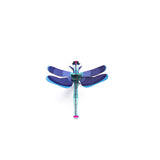 Studio Roof - Sapphire Dragonfly