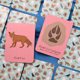 Button & Squirt - Amazing British Nature Matching Pairs