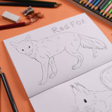 Button & Squirt - Amazing Animals of the British Isles Colouring Book