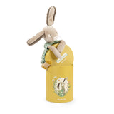 Moulin Roty - Sauge the rabbit (in a box)