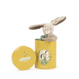 Moulin Roty - Sauge the rabbit (in a box)