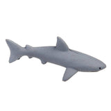 Rex B2B - UK - Grow Your Own Shark Toy