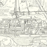 Bookspeed - BRAMBLY HEDGE: NATURE COLOURING BOOK
