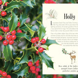 Bookspeed - ANTHOLOGY OF CHRISTMAS (DK ANTHOLOGY) (HB)