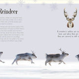 Bookspeed - ANTHOLOGY OF CHRISTMAS (DK ANTHOLOGY) (HB)