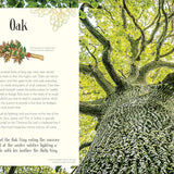 Bookspeed - ANTHOLOGY OF CHRISTMAS (DK ANTHOLOGY) (HB)