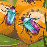 Bookspeed - BUGS SNAP CARDS