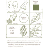 Bookspeed - PLAY THE FOREST SCHOOL WAY