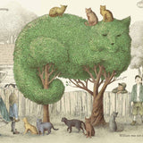 Bookspeed - NIGHT GARDENER (PB)