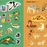 Bookspeed - LITTLE FIRST STICKERS NATURE (PB)