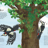 Bookspeed - BIRDS OF A FEATHER (PRESS OUT) (NATIONAL TRUST) (HB)