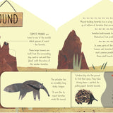 Bookspeed - ANIMAL HOMES (LIFT THE FLAP) (SHAPED BOARD)