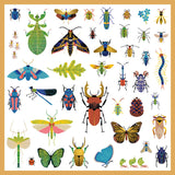 Djeco - Microcosmos Stickers