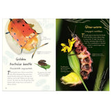 Bookspeed - An anthology of Beetles