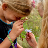 Huckleberry - Dual Magnifier