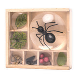 HUCKLEBERRY MY LITTLE MUSEUM