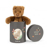 Moulin Roty - Arthur Bear (in a box)