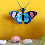 Studio Roof - Peacock Butterfly