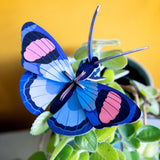 Studio Roof - Peacock Butterfly