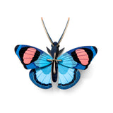 Studio Roof - Peacock Butterfly