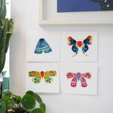 LOLA - Beautiful Bugs Art Box