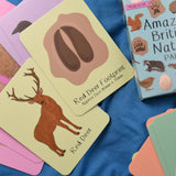 Button & Squirt - Amazing British Nature Matching Pairs