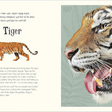 Bookspeed - Anthology of Intriguing Animals DK