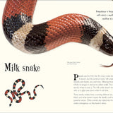 Bookspeed - Anthology of Intriguing Animals DK