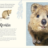 Bookspeed - Anthology of Intriguing Animals DK