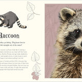 Bookspeed - Anthology of Intriguing Animals DK