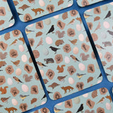 Button & Squirt - Amazing British Nature Matching Pairs
