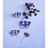 Studio Roof - Insects - Swallowtail Butterflies set of 3