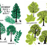 Bookspeed - Hello Nature Activity Book