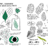 Bookspeed - Hello Nature Activity Book