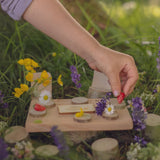 The Den Kit Company - The Fairy Garden Kit