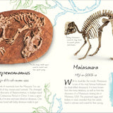 Bookspeed - An Anthology of Fossils - DK Little Anthology HB