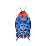 Studio Roof - Fungus Beetle