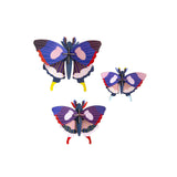 Studio Roof - Insects - Swallowtail Butterflies set of 3