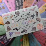 Button & Squirt - Amazing Animals Set One Colouring Book